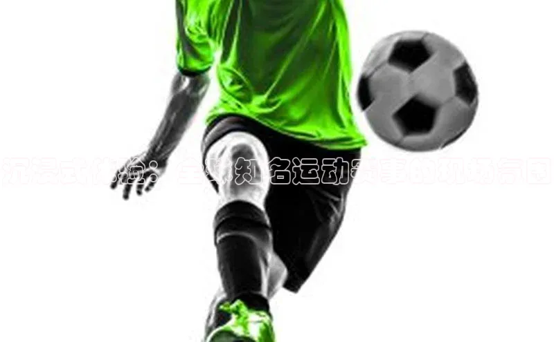 沉浸式体验：全球知名运动赛事的现场氛围