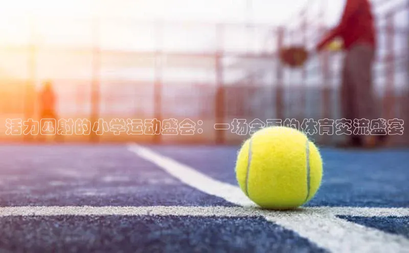 活力四射的小学运动盛会：一场全面的体育交流盛宴