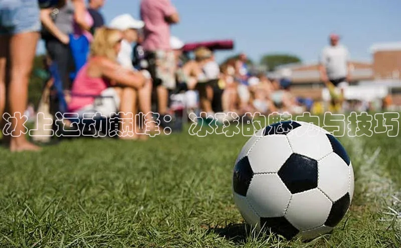 冰上运动巅峰：冰球的魅力与技巧