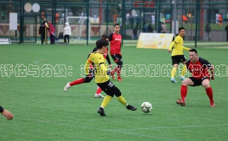 评估与分级：运动赛事级别的详细标准