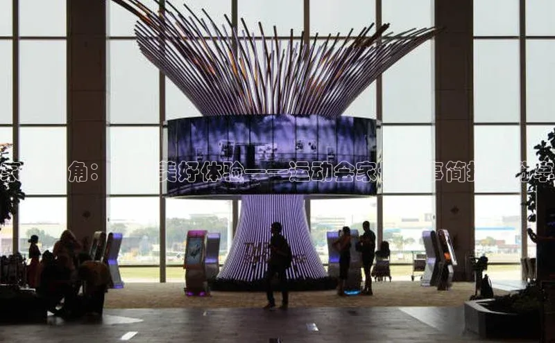 家长视角：共创美好体验——运动会家长赛事简报与分享