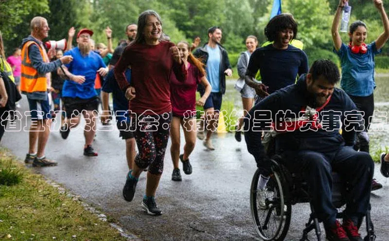 省直机关运动会：精彩纷呈的赛事亮点