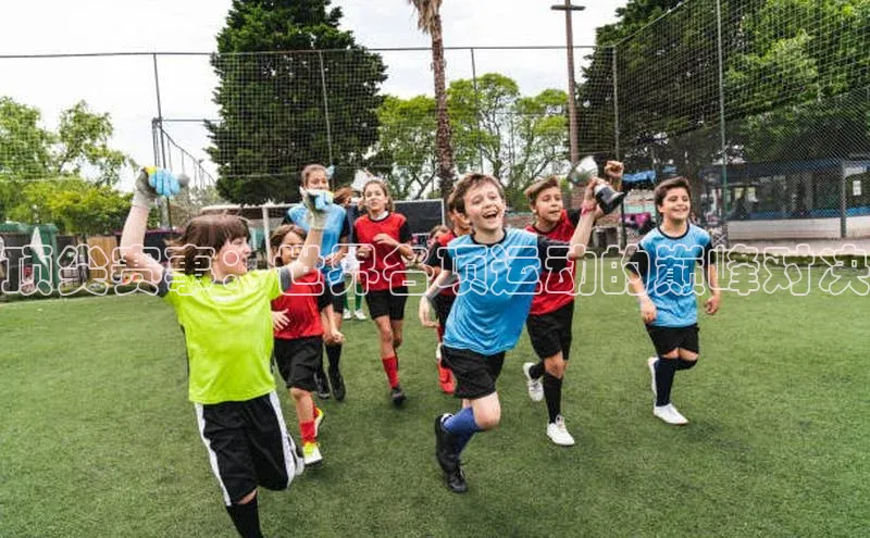 顶尖赛事：世界各项运动的巅峰对决