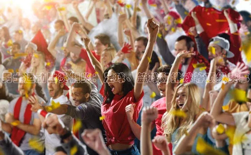 3377体育官网入口网页版