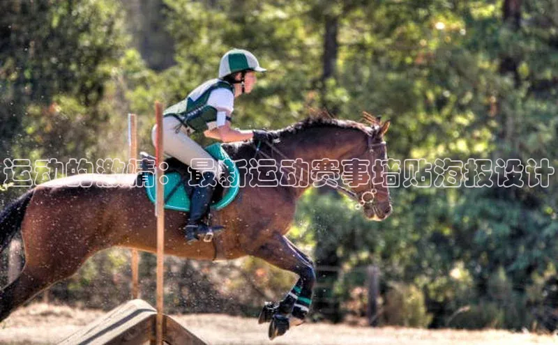 3377体育官网入口网页版