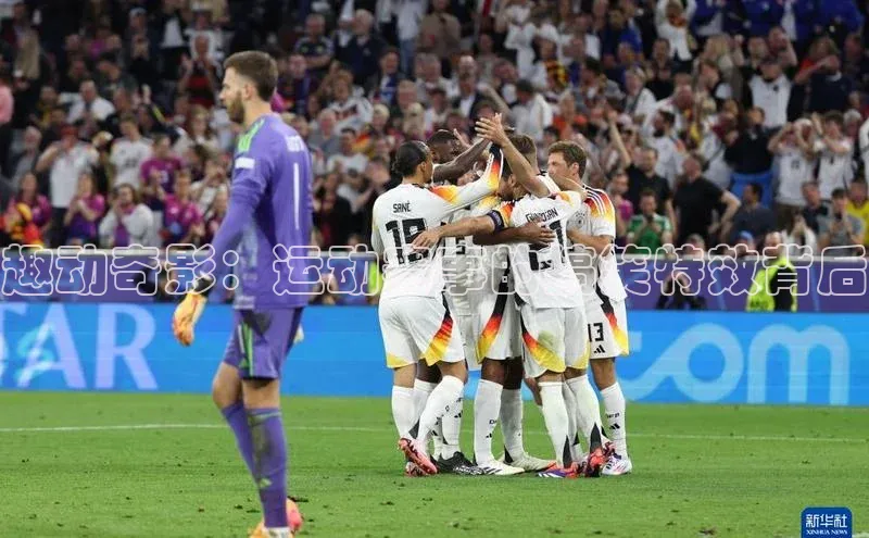 3377体育app官方网站