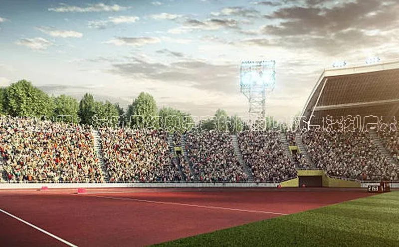 3377体育官网入口网页版