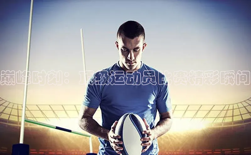 3377体育官网入口网页版