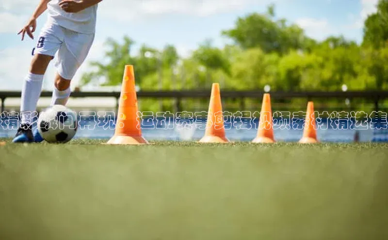 3377体育中国官方网站入口