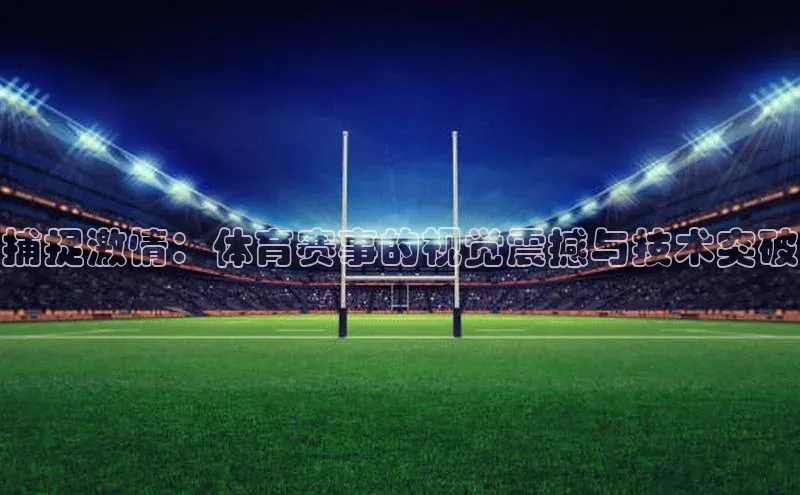 3377体育app登录入口手机版