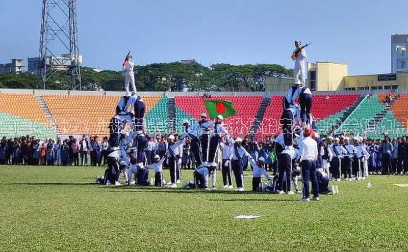 力量与活力：运动营养补剂在提升体能表现中的关键作用