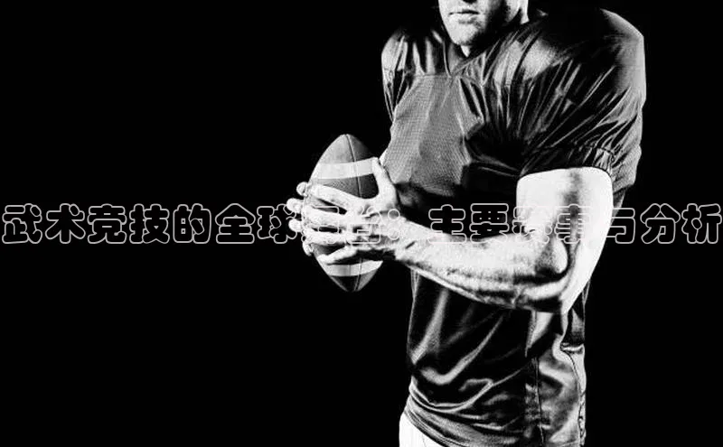 武术竞技的全球舞台：主要赛事与分析